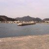 山口県下関市吉母港でアオリイカ釣り